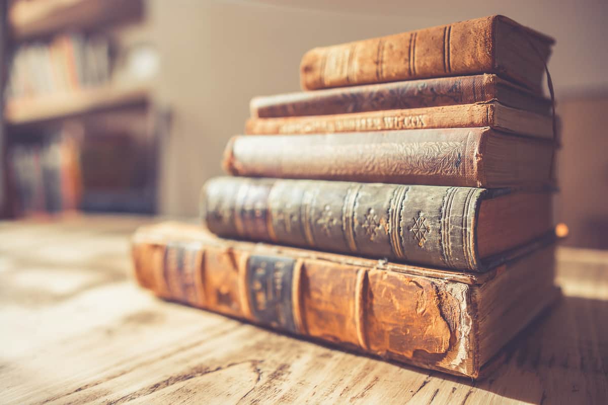 El vocabulario Técnico y la Psicoterapia